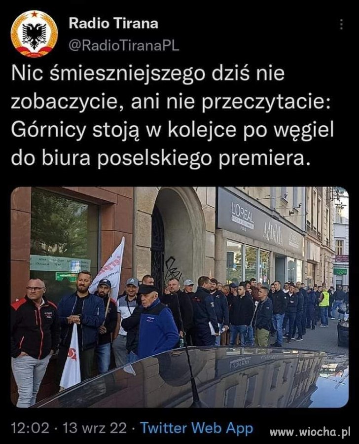 Hit dnia. 
