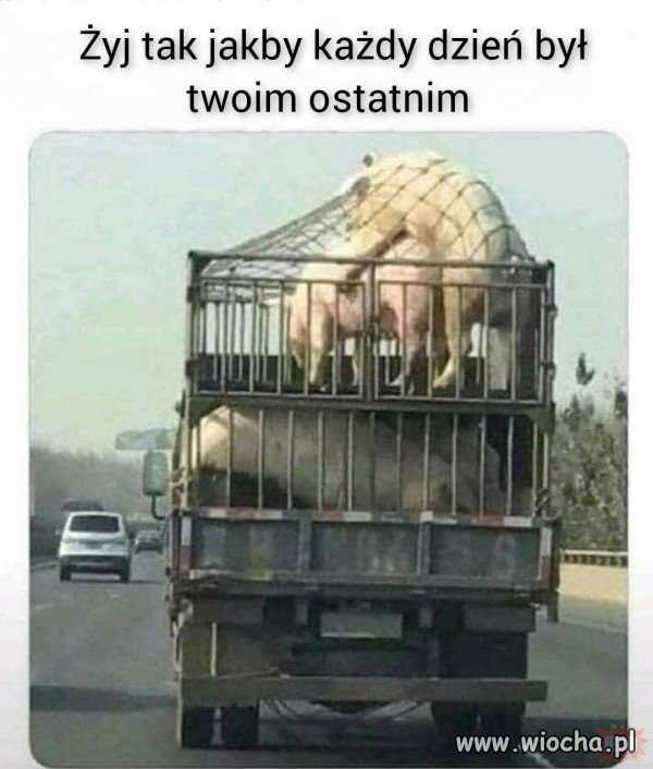 Karakan i świta jadą na kolejną objazdówkę.