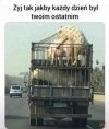 Karakan i świta jadą na kolejną objazdówkę.