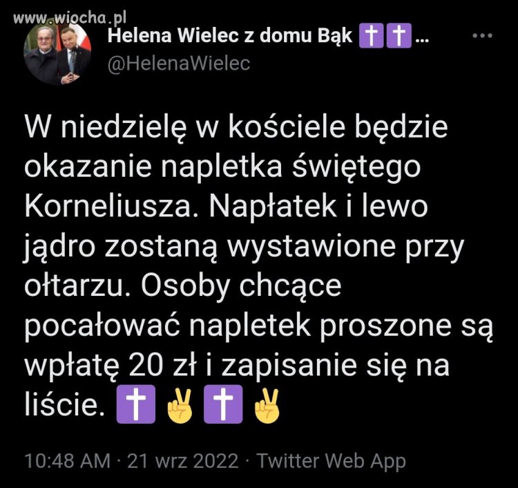 Cena zwala z nóg