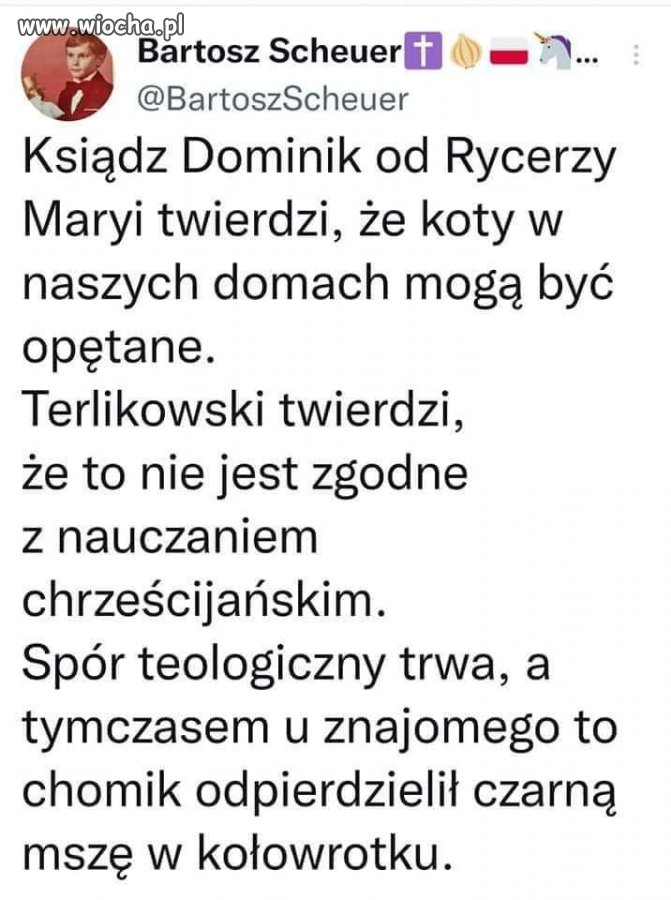 Ten od Jarka też?