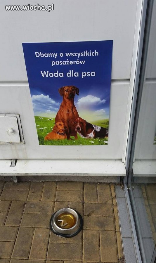 Na stacji paliw Osrajtka.