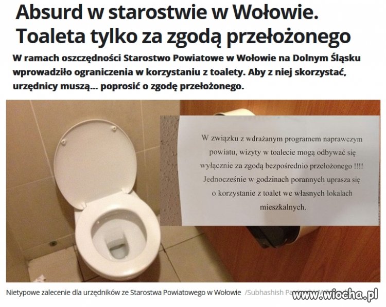 Tymczasem w Wołowie