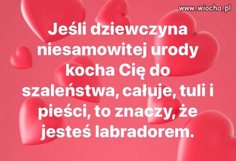 Tylko tak to jest możliwe 