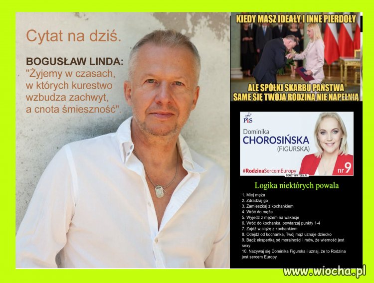 Celne podsumowanie.