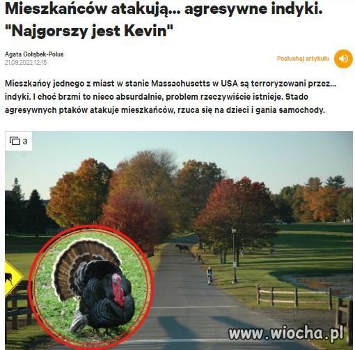 Z zupełnie innej beczki...