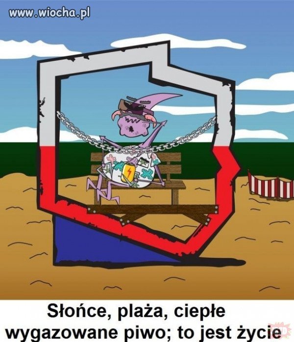 Wyborca pis.