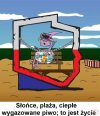 Wyborca pis.