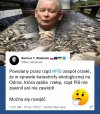 I " załatwione "