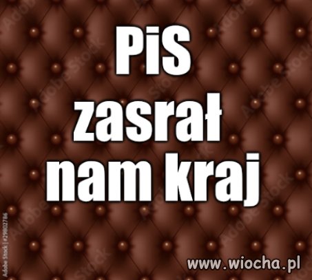 Skalali własne gniazdo