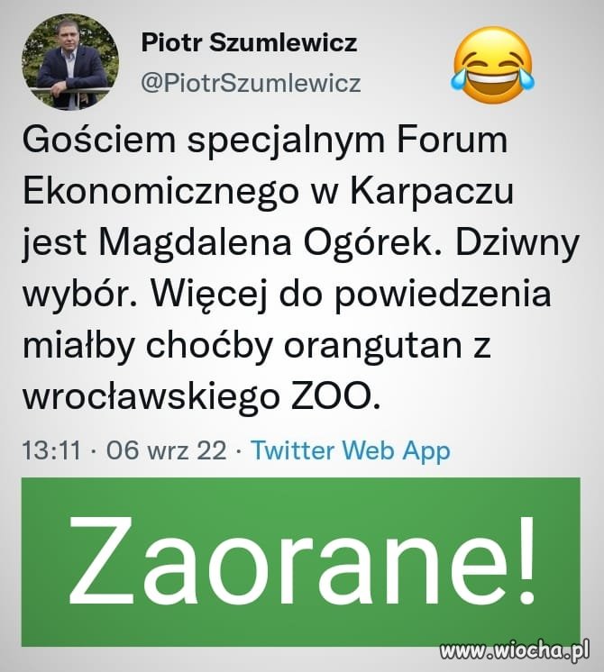 Torebek Gucci czy spódnic Sandroparis?