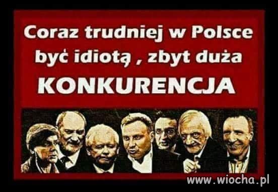 Kto się zgadza.
