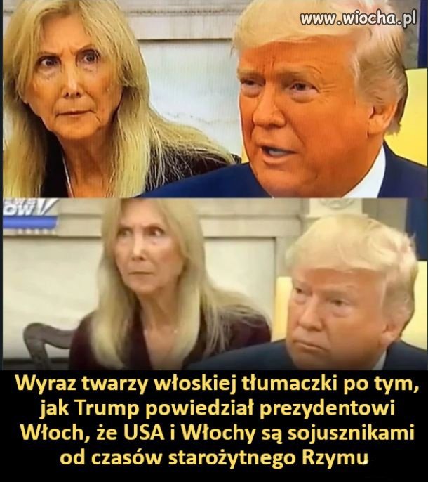 Idol prawaków 