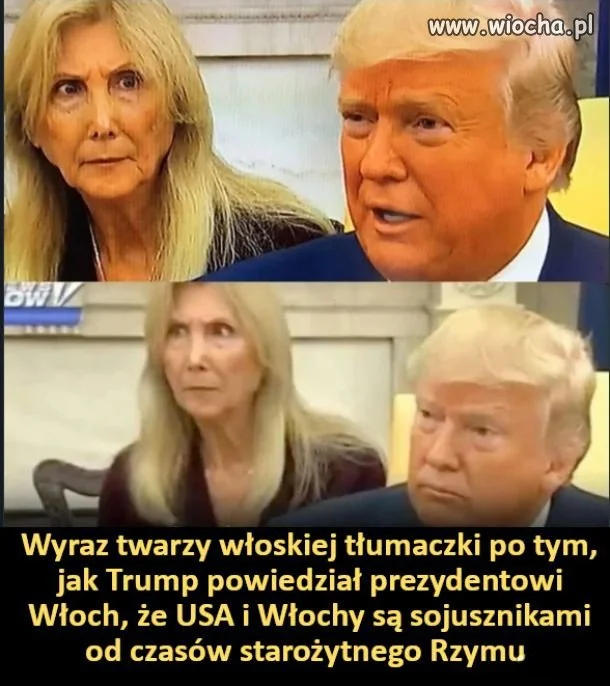 Idol prawaków 
