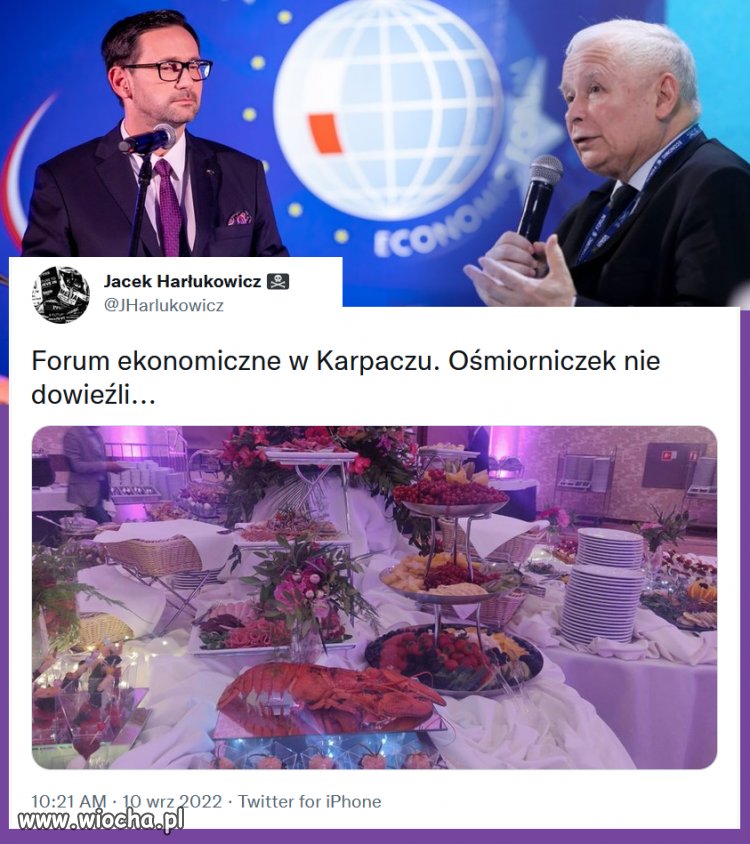 A może tak homary, zamienić śniętymi rybkami!!!