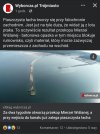 Generowanie kosztów czas zacząć. 