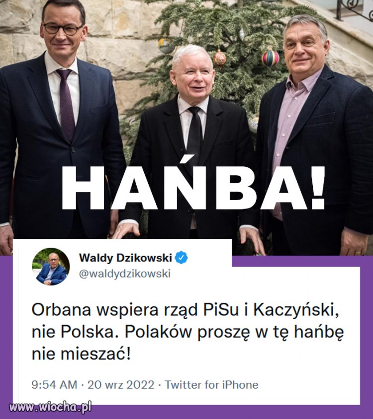 "Polaków proszę w tę hańbę nie mieszać!"