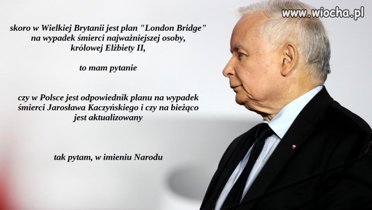 Tak pytam