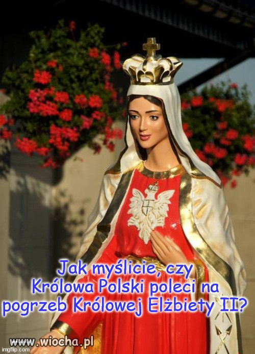 Chyba by wypadało,