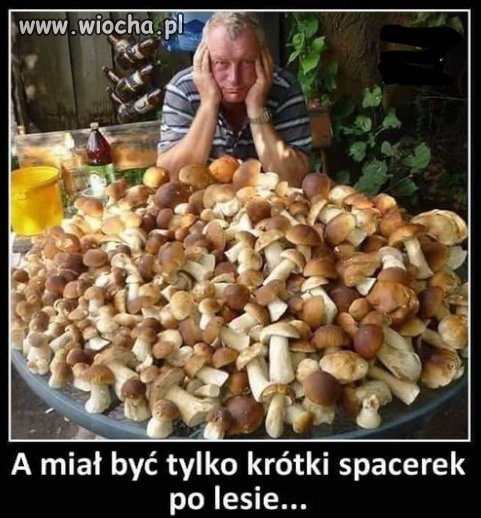 Po co chodzisz do lasu na spacer
