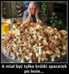 Po co chodzisz do lasu na spacer
