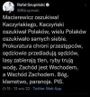 PIS w pigułce
