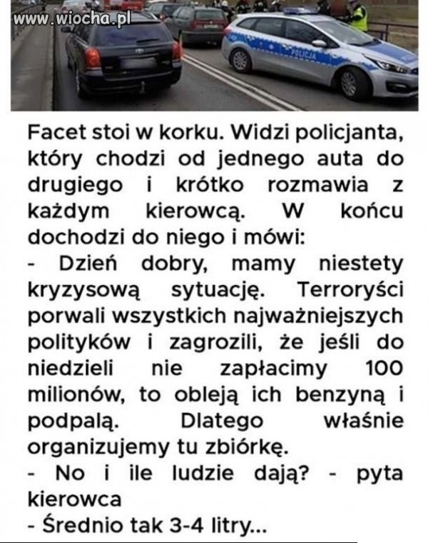 Gdyby porwali kaczora i spółkę. 
