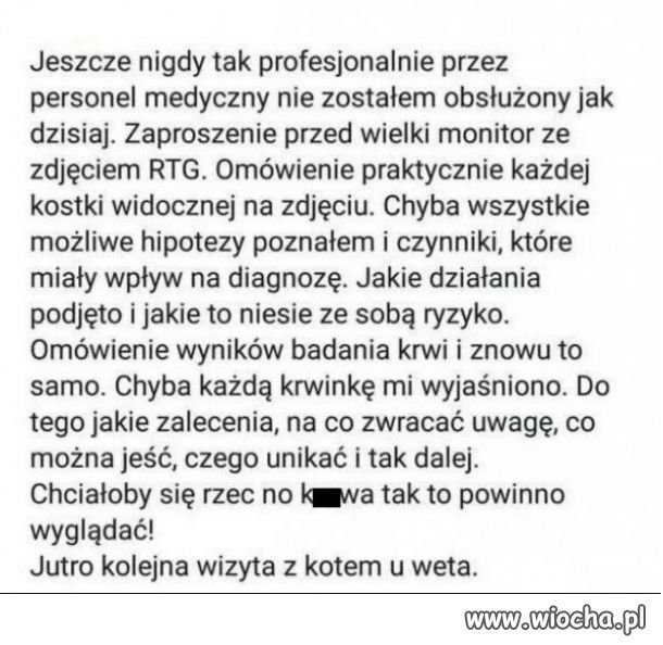 Profesjonalna obsługa
