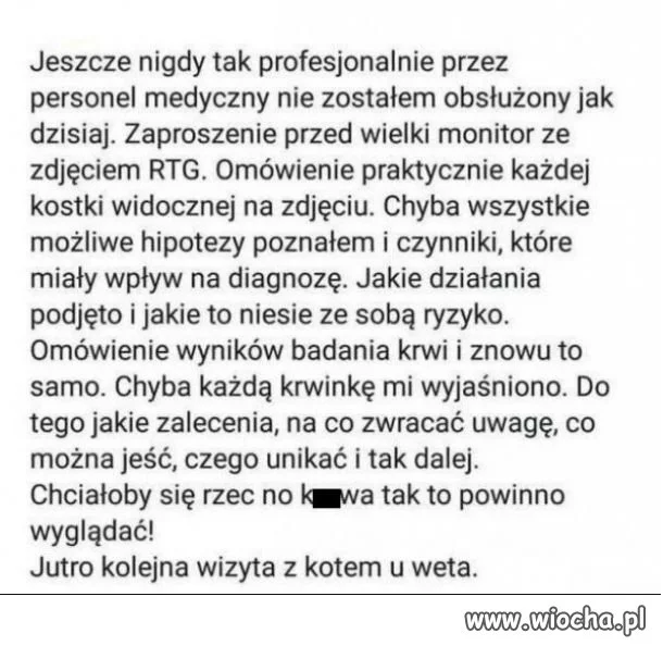Profesjonalna obsługa