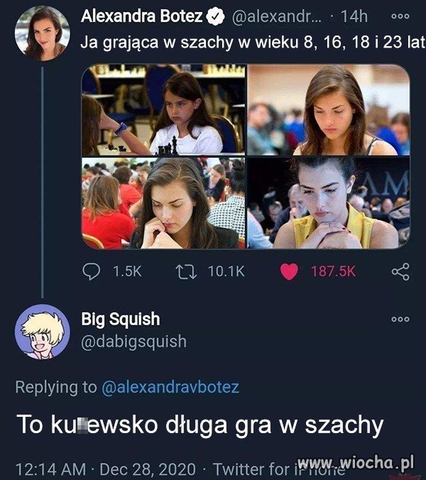 Szachy. 