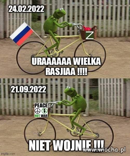 Niestety wojnie!