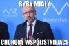 Przebadano ryby z Odry