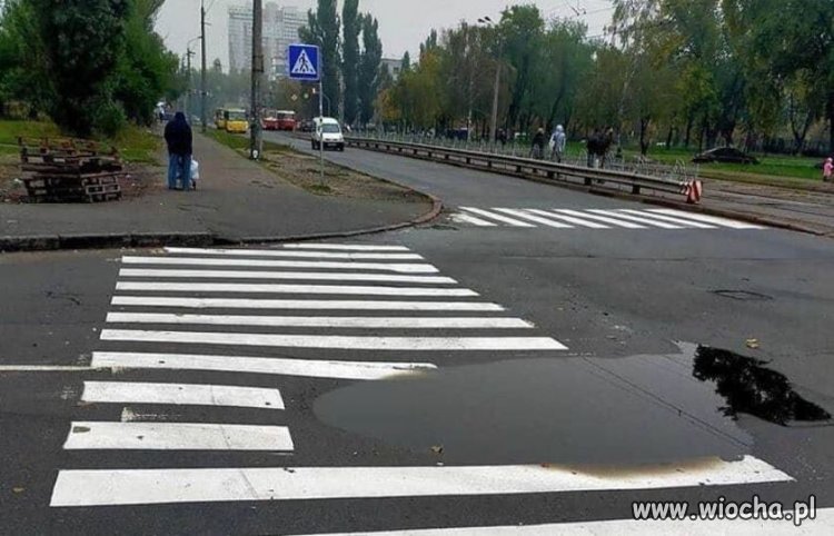 Dostosowali się do warunków pogodowych