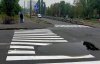 Dostosowali się do warunków pogodowych