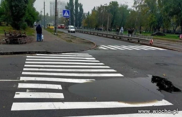 Dostosowali się do warunków pogodowych