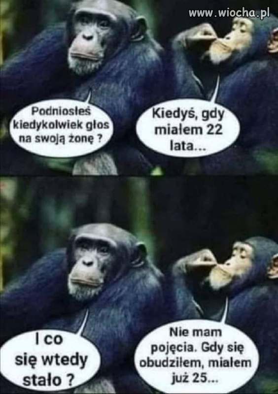 Może lepiej nie ryzykować 