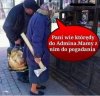 Drzewo na opał