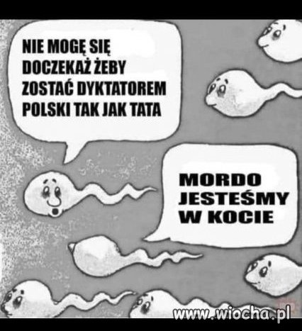 Tymczasem