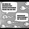 Tymczasem