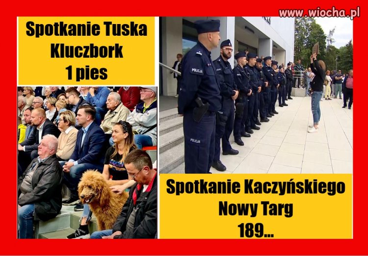 Spotkania polityków z wyborcami