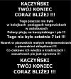 Przyszła kryska na Matyska...