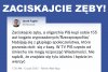 A PiSdebile cały czas drą ryje