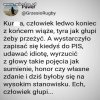 Celne spostrzeżenie