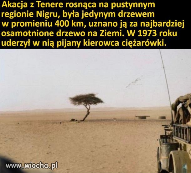 To musiał być jakiś kuzyn Sasina 