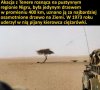 To musiał być jakiś kuzyn Sasina 