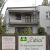 Żabka po repolonizacji