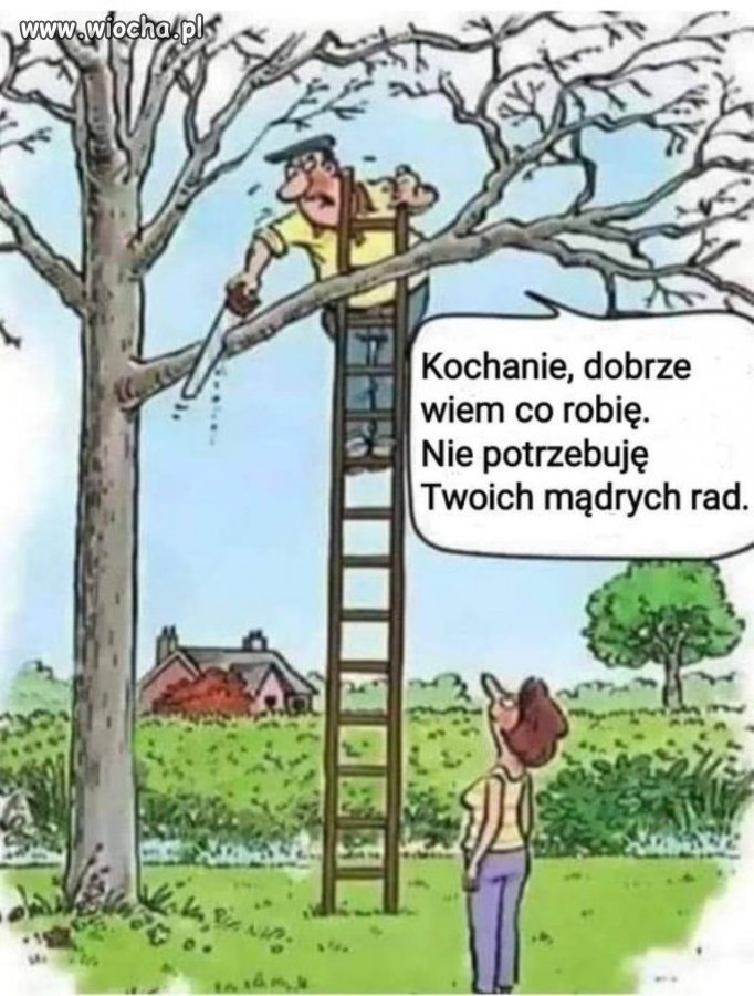 Robie tak ponieważ