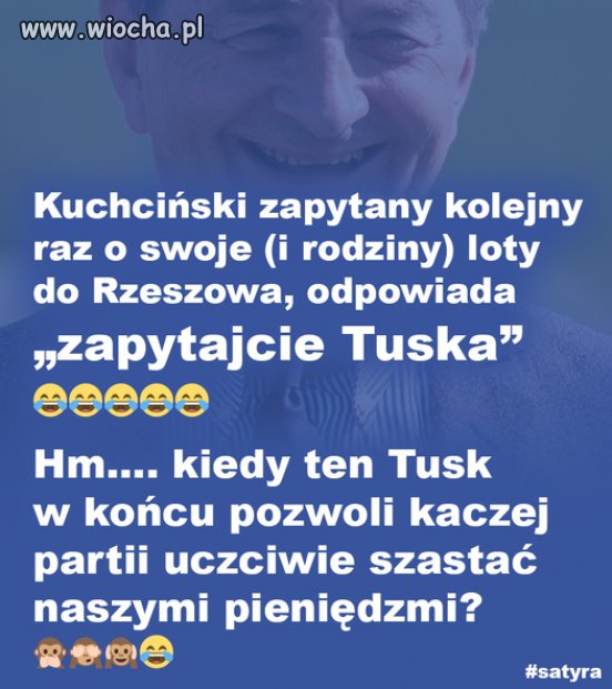Bezczelny typ