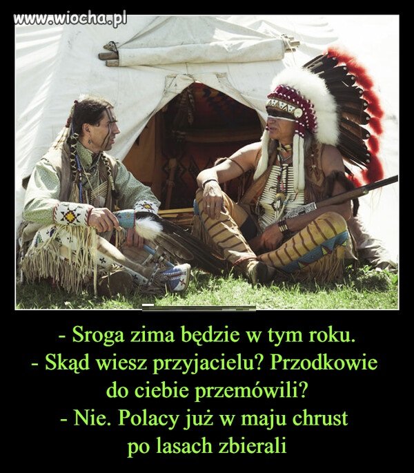 5 gwiazdek 3 gwiazdki
