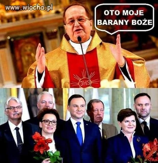 Barany boże.